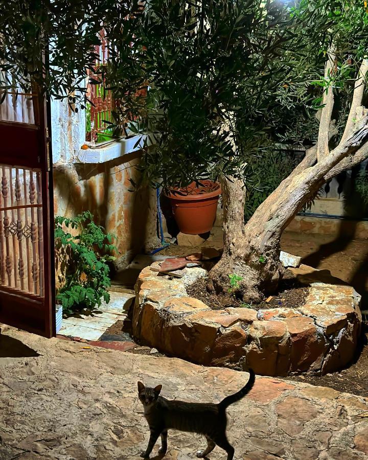 Auberge Dalia شفشاون المظهر الخارجي الصورة